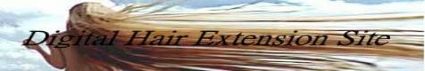 Extension