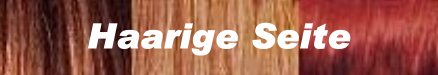 HaarigeSeite